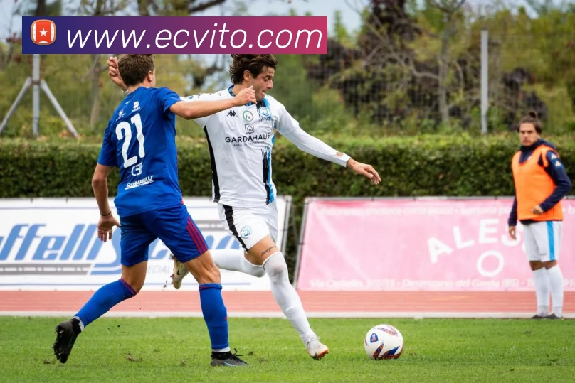 九游j9官网首页进入发展历程